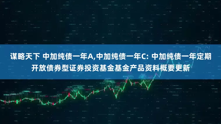 谋略天下 中加纯债一年A,中加纯债一年C: 中加纯债一年定期开放债券型证券投资基金基金产品资料概要更新